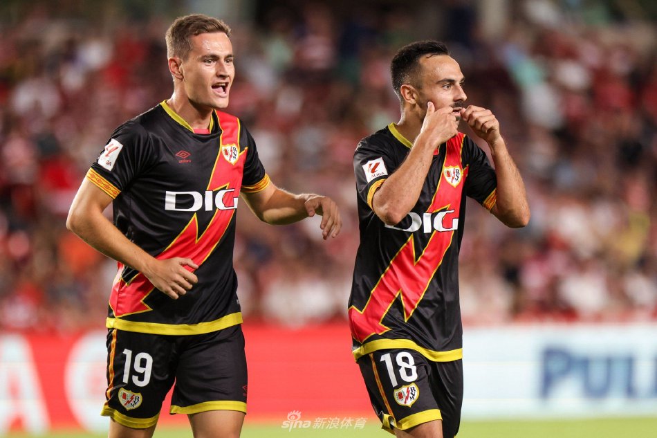 是因为他们 是因为他们